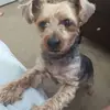 blakebeck8 - @blakebeck8 - TikTok