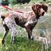 Blake Biederman - Facebook