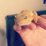 Blake Boggs - @boggs7416 - Instagram