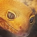 Blake Boggs - @bboggs193 - Instagram