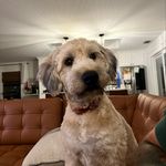 Blake Bolton - @bruhitsb1ake - Instagram