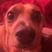 Blake Brannon - Facebook