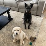 Blake & Brooks - @blakeandbrooks - Instagram