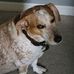 Blake Browning - Facebook