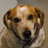 Blake_Browning - @blake_browning - TikTok