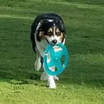 Blake Bryant - @blake_bryant.7 - Instagram