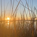 Blake Bryant - @blake_bryant26 - Instagram
