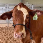 Blake Bryant - @blakes_ffa_projects - Instagram