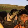 blake buchanan - @blakebuchanan22 - TikTok