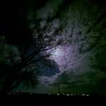 Blake Buckley - @_buckles_00_ - Instagram