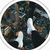 blakebuckley__ - @blakebuckley__ - TikTok