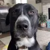 Blake Burdorf - @blake.burdorf - TikTok
