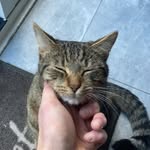 Blake Caldwell - @_blakecaldwell_ - Instagram