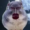 Blake Cameron - @blake.cameron36 - TikTok