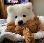 Blake Carpenter - Facebook