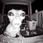 Blake Carpenter - Facebook