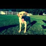 Blake Collier - @_blake_collier_ - Instagram