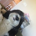 Blake Colvin - @blake_colvin - Instagram