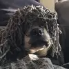 Blake Connelly - @thatboibock - TikTok