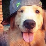 blake - @blakeleicornelius - Instagram