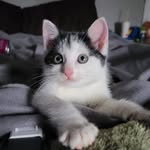 Blake Crosby - @blake_crosby7 - Instagram