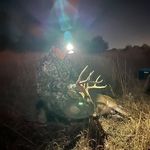 Blake Crowell - @_blakecrowell - Instagram