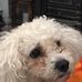 Blake Davey - Facebook