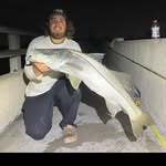 Blake DeSantis - @blake_desantis - Instagram