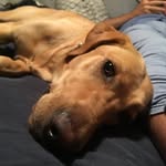 Blake Dorman - @blake_d_10 - Instagram