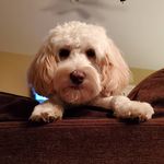 Blake Engelmeyer - @blakeengelmeyer - Instagram