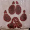 Blake Ferrell - @blake.ferrell8 - TikTok