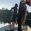 Blake  Ferris - @blakeferris19 - TikTok