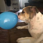 Blake Foley - @blake_foley12 - Instagram