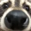 Blake Ford - @blake.ford6 - TikTok