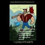 Blake Forrest Tree Care Inc - @blakeforresttreecare - Instagram