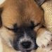 Blake Fortner - Facebook