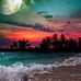 Blake Fortner - Facebook
