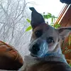 Blake Fortner - @blakefortner - TikTok