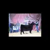 Blake Freeman - @blake.freeman96 - TikTok
