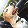Blake N Friends - @blakenfriends - TikTok