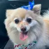 Blake Gee - @2fun4u_bg - TikTok