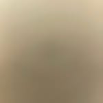 Blake gomez - @blake148993 - Instagram