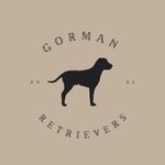 Blake Gorman - @gorman_retrievers - Instagram