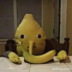 Blake Gorman - Facebook
