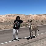 Blake Gray - @blakecgray - Instagram