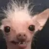 blakegray - @xblakegrayx - TikTok