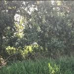 Blake Guidry - @blakeguidry.cannabis - Instagram