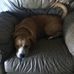 Blake Jason Harrelson - Facebook