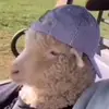 Blakethesnake - @blake.hayden - TikTok