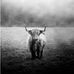Blake Haynes - Facebook
